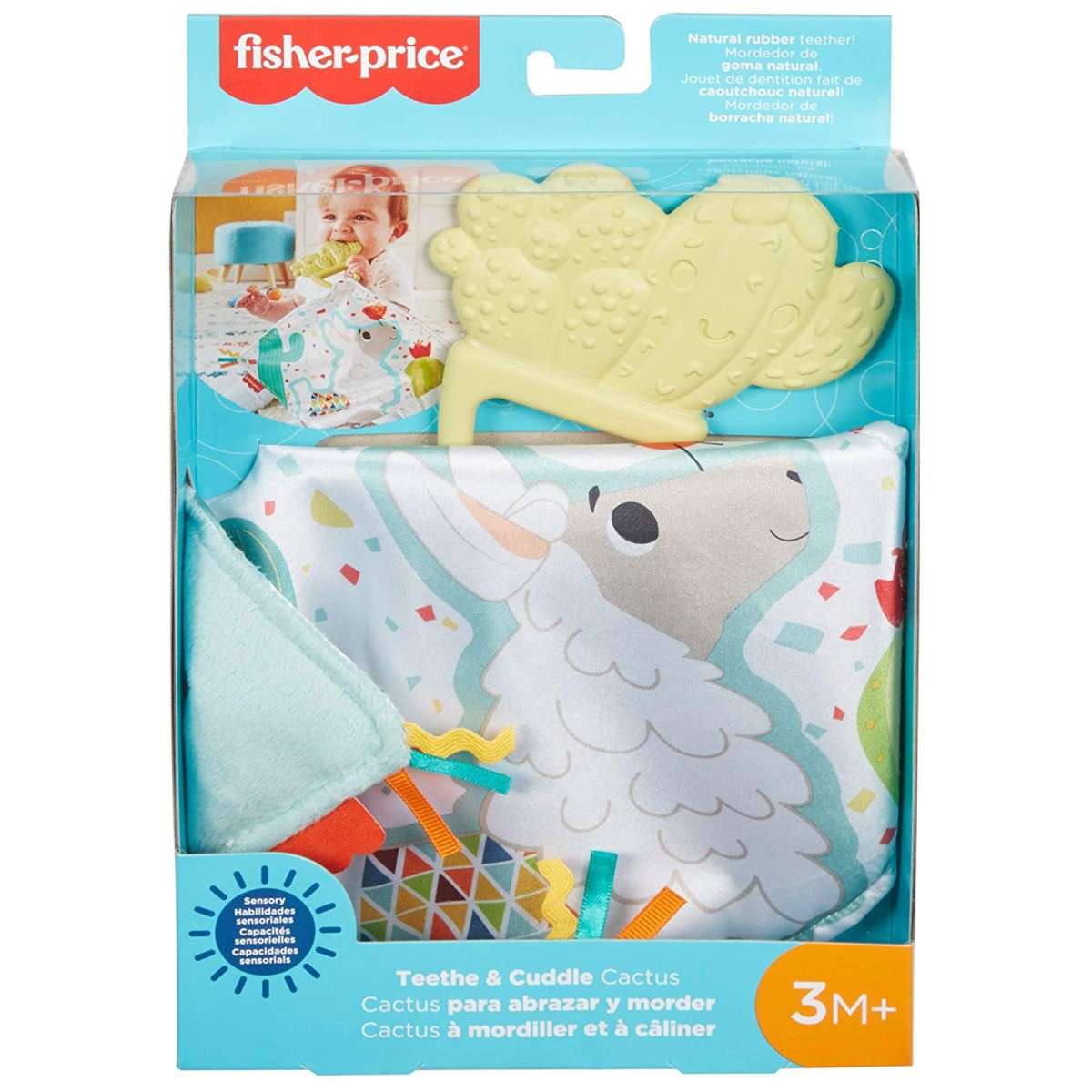 Mattel GJD38 - Fisher-Price - Beißring Kaktus mit Kuscheltuch