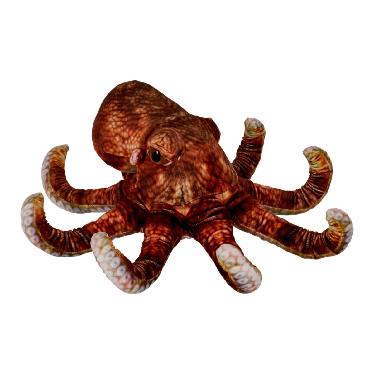 Coppenrath 22572 - Die Spiegelburg - Nature Zoom Wild - Plüschfigur, Oktopus