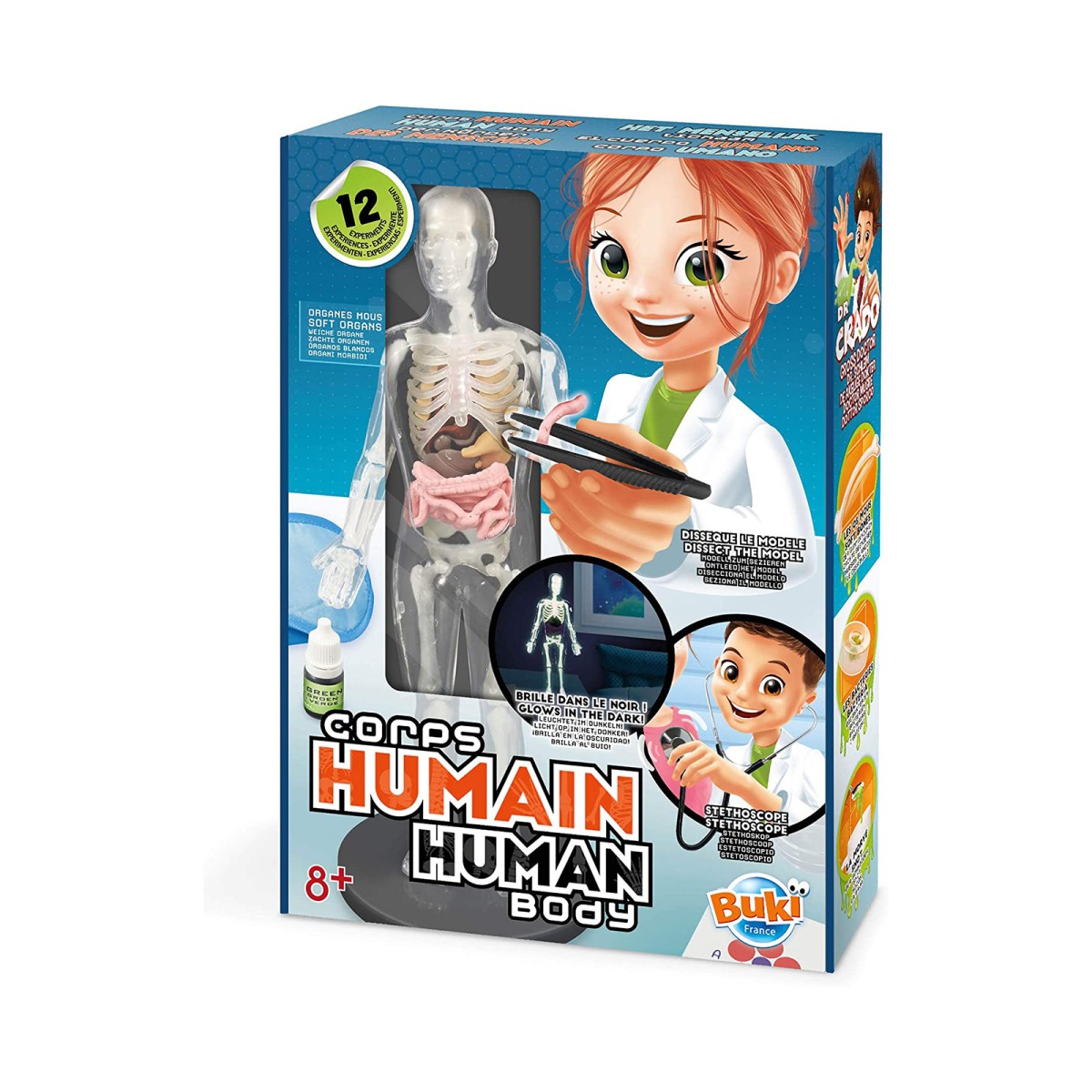 Buki France 2163 - Der menschliche Körper, Modell zum Entdecken