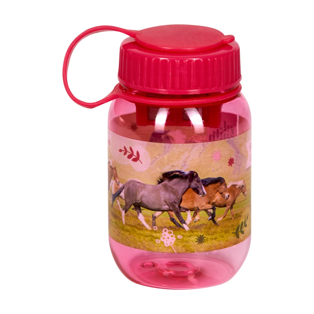 Coppenrath 17733 - Die Spiegelburg - Pferdefreunde - Doppelanspitzer