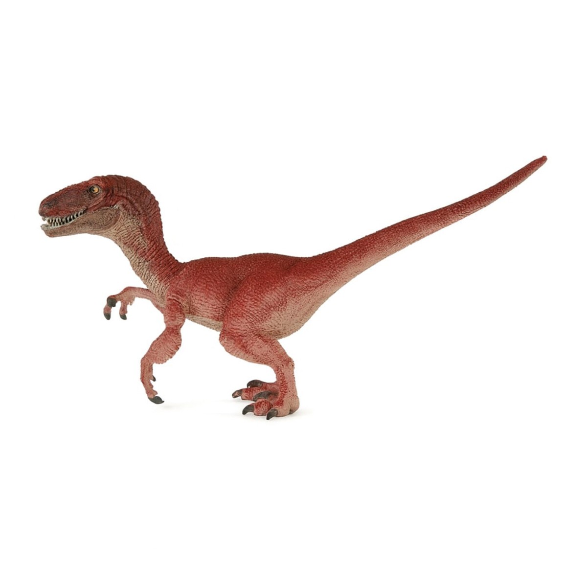 Schleich 10166509-Velociraptor - Dinosaurs - Velociraptor
